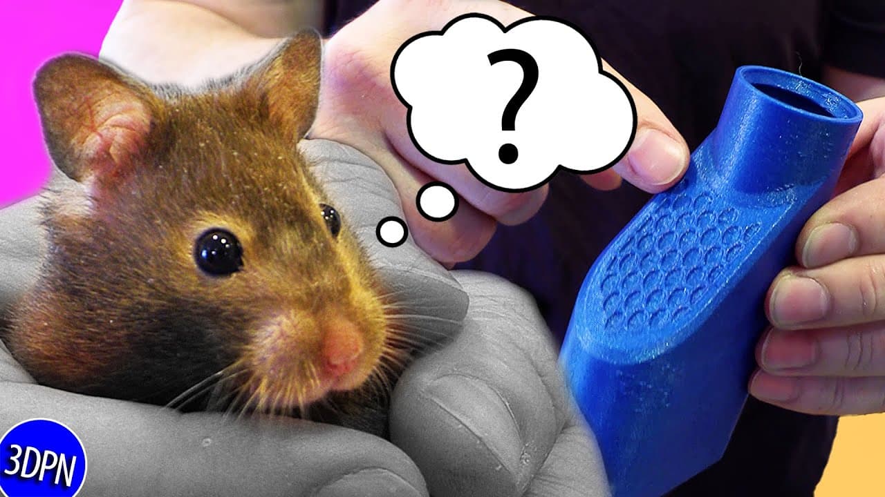 Does My Hamster Care About 3D Printing? Practical Prints for Pets!