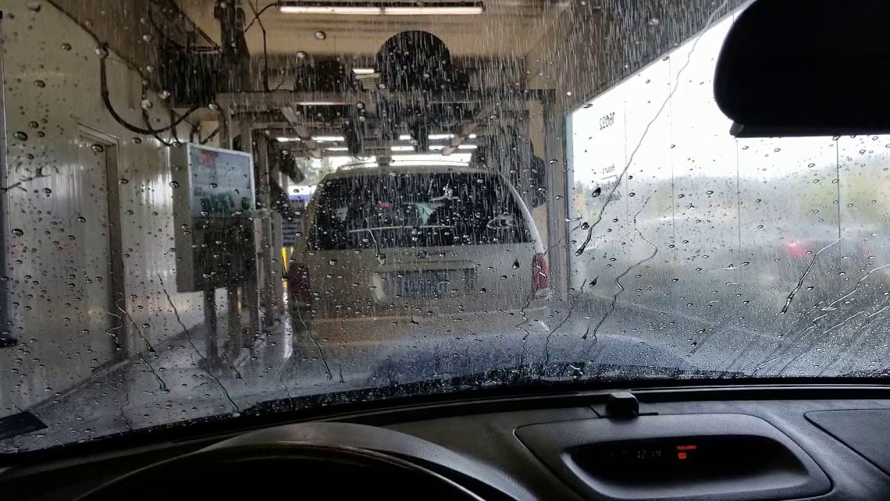 Going Through a Brown Bear Car Wash